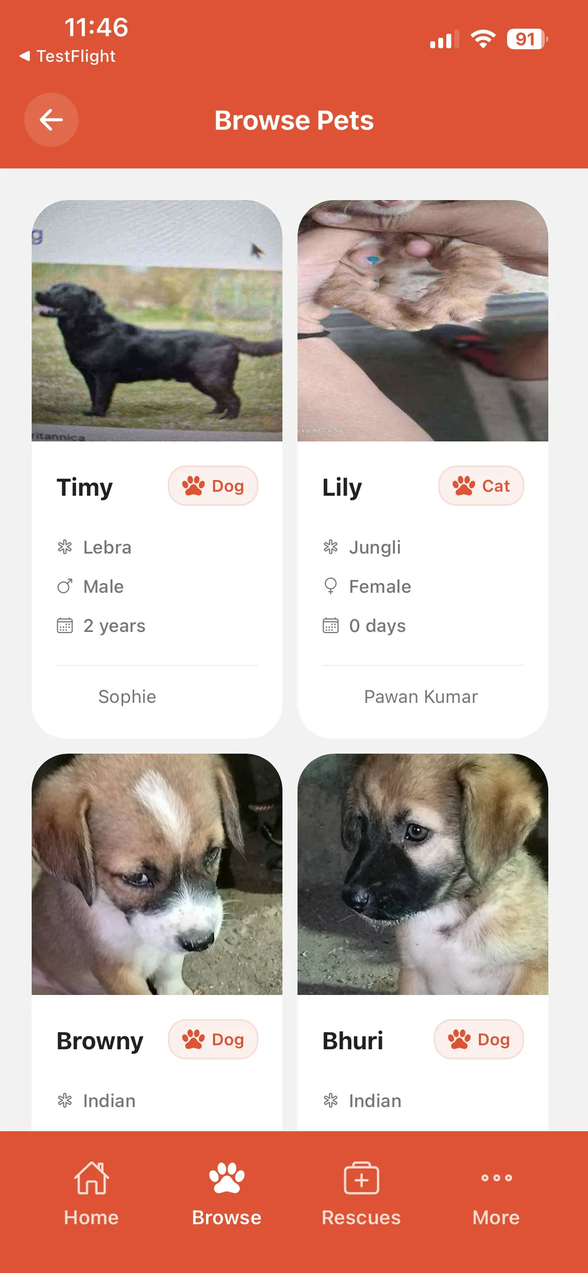 Browse Pets Grid