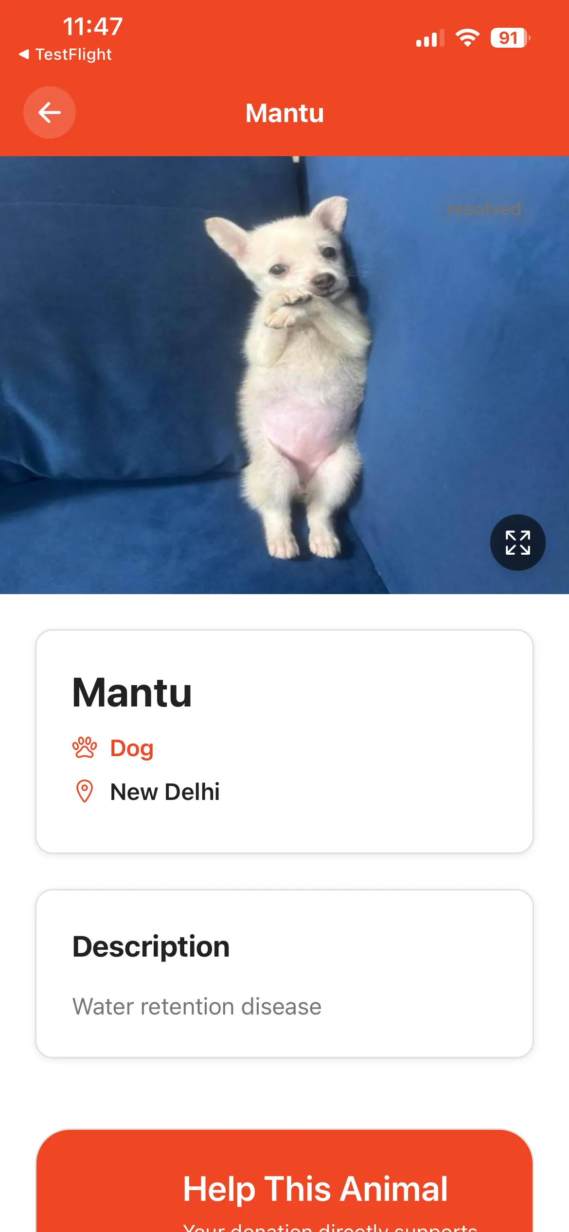 Rescue Animal Detail — Mantu