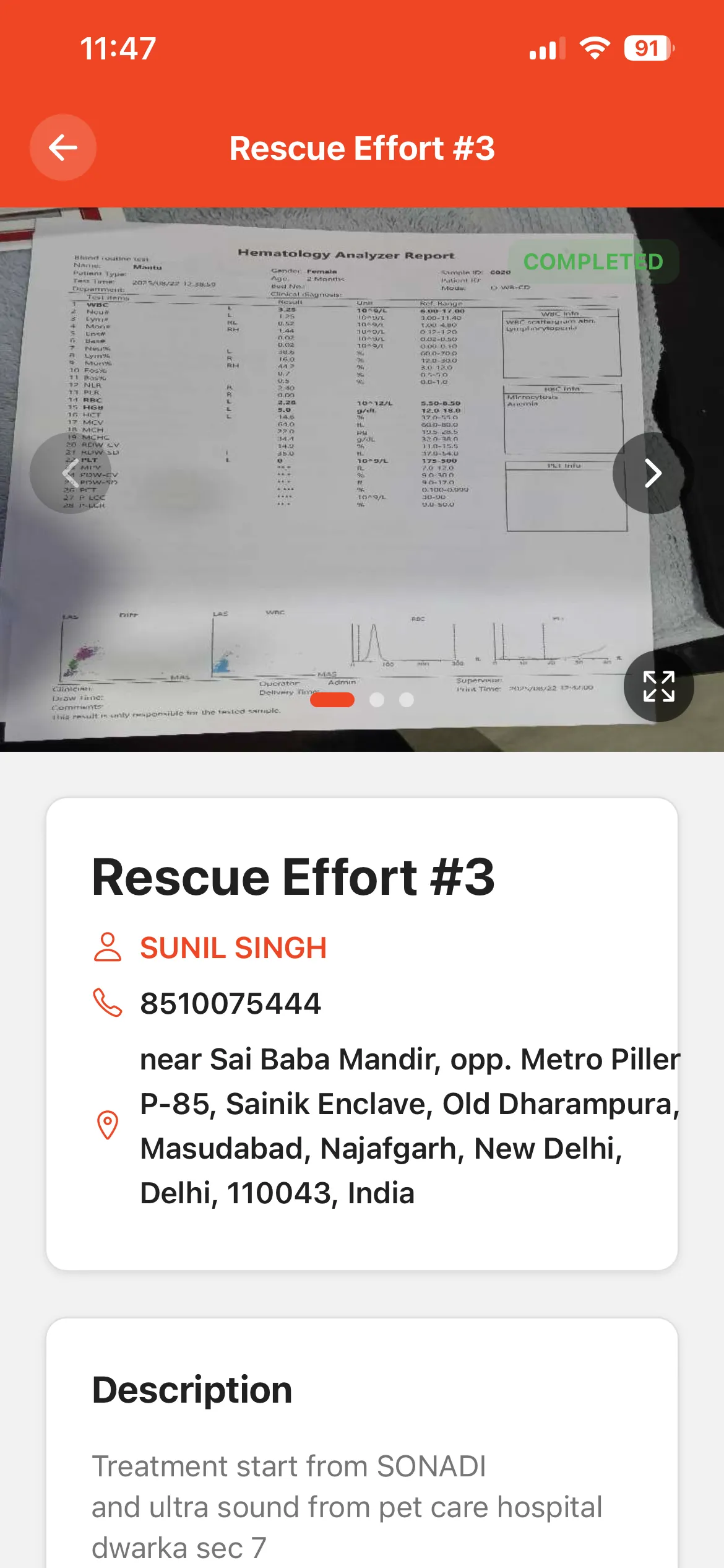 Rescue Effort Detail